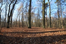 wanderung1c.JPG