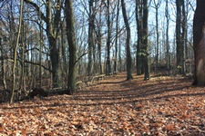 wanderung1e.JPG